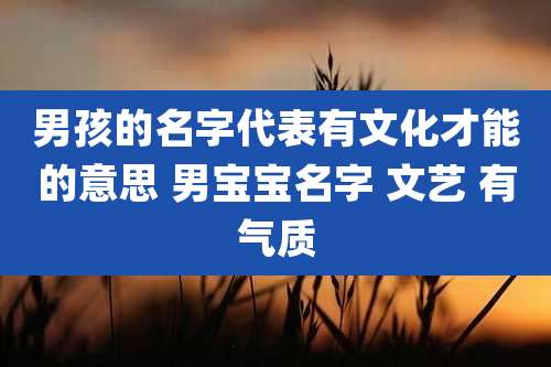男孩的名字代表有文化才能的意思 男宝宝名字 文艺 有气质