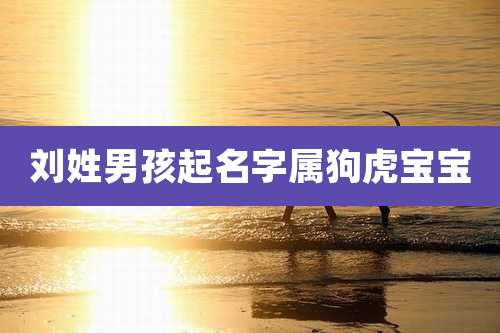 刘姓男孩起名字属狗虎宝宝