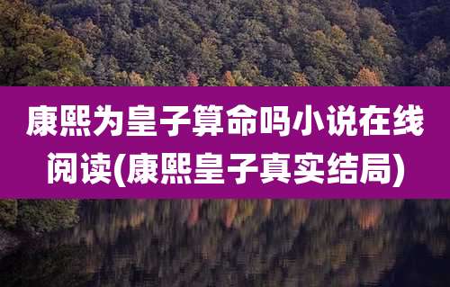 康熙为皇子算命吗小说在线阅读(康熙皇子真实结局)