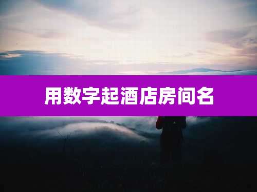 用数字起酒店房间名