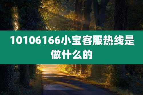 10106166小宝客服热线是做什么的