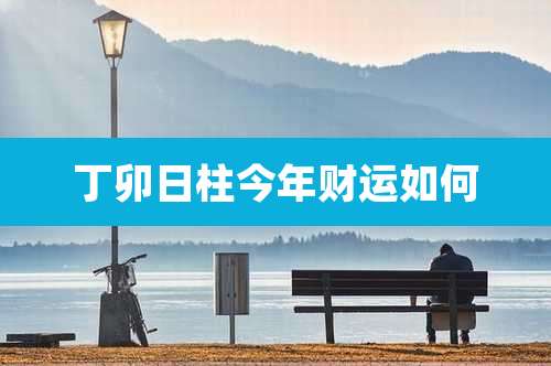 丁卯日柱今年财运如何
