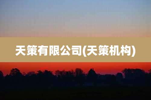 天策有限公司(天策机构)