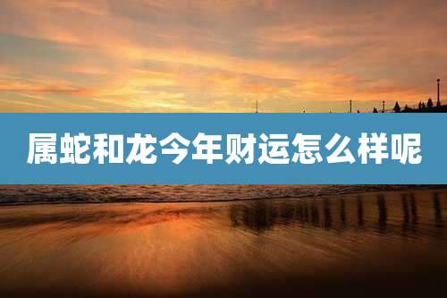 属蛇和龙今年财运怎么样呢