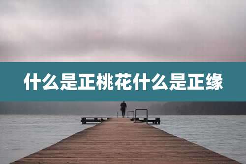 什么是正桃花什么是正缘