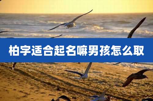 柏字适合起名嘛男孩怎么取