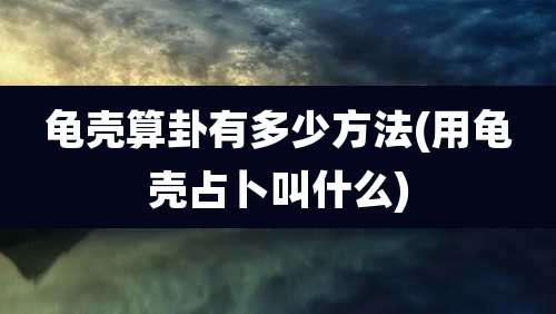 龟壳算卦有多少方法(用龟壳占卜叫什么)