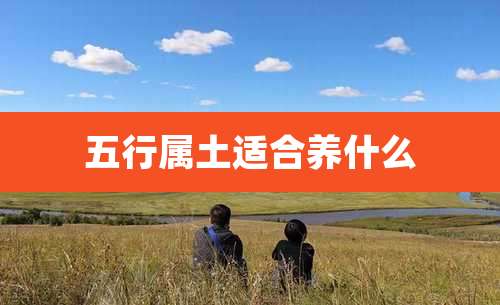 五行属土适合养什么