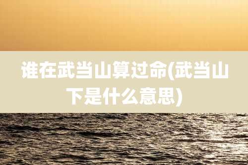 谁在武当山算过命(武当山下是什么意思)