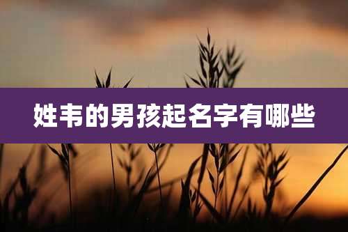 姓韦的男孩起名字有哪些