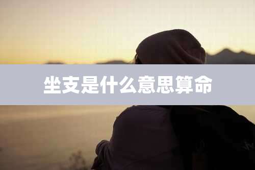 坐支是什么意思算命