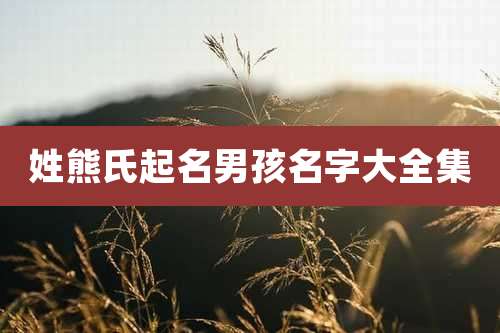 姓熊氏起名男孩名字大全集