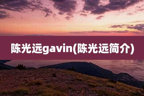 陈光远gavin(陈光远简介)