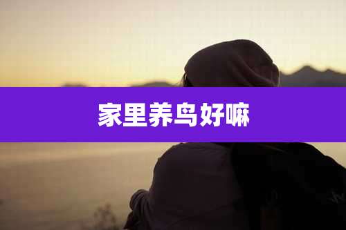 家里养鸟好嘛