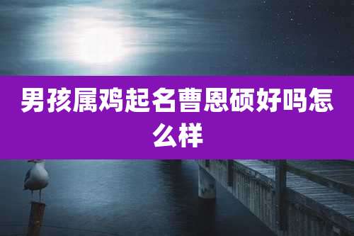 男孩属鸡起名曹恩硕好吗怎么样