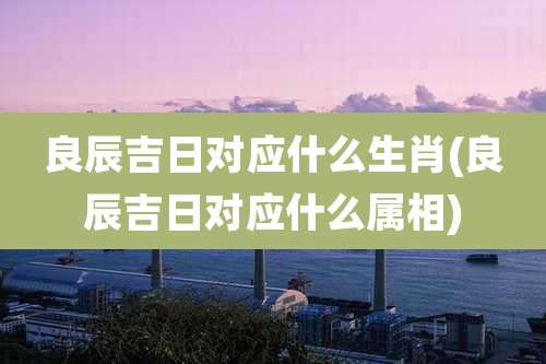 良辰吉日对应什么生肖(良辰吉日对应什么属相)