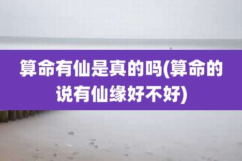 算命有仙是真的吗(算命的说有仙缘好不好)