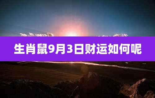 生肖鼠9月3日财运如何呢