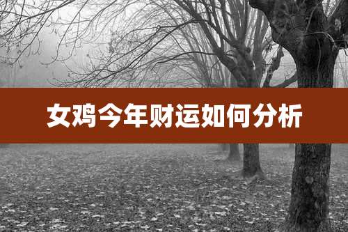 女鸡今年财运如何分析