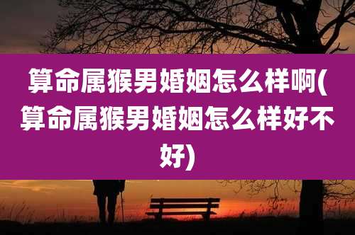 算命属猴男婚姻怎么样啊(算命属猴男婚姻怎么样好不好)