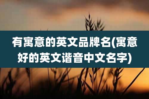 有寓意的英文品牌名(寓意好的英文谐音中文名字)