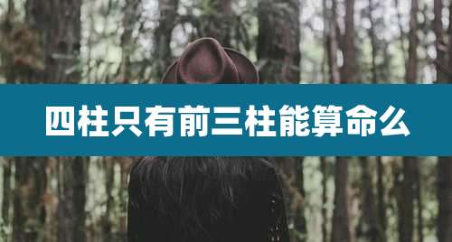 四柱只有前三柱能算命么