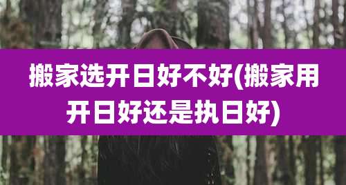 搬家选开日好不好(搬家用开日好还是执日好)