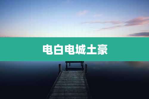 电白电城土豪