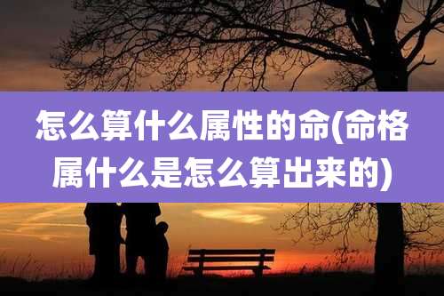 怎么算什么属性的命(命格属什么是怎么算出来的)