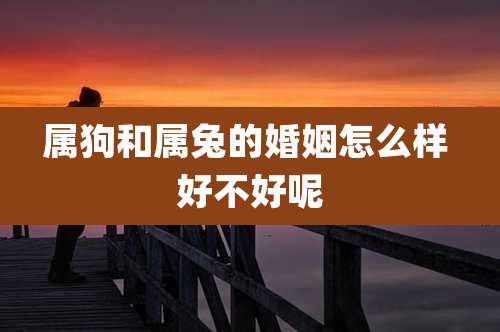 属狗和属兔的婚姻怎么样 好不好呢