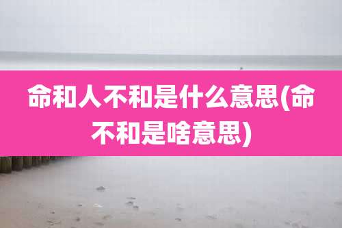 命和人不和是什么意思(命不和是啥意思)