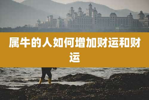 属牛的人如何增加财运和财运