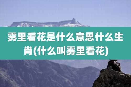 雾里看花是什么意思什么生肖(什么叫雾里看花)