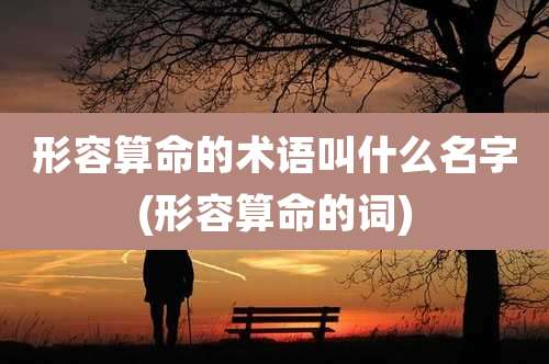 形容算命的术语叫什么名字(形容算命的词)