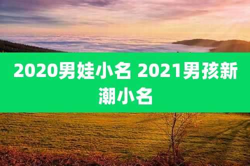 2020男娃小名 2021男孩新潮小名