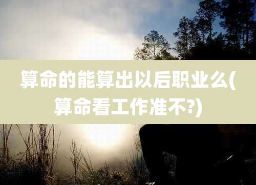 算命的能算出以后职业么(算命看工作准不?)