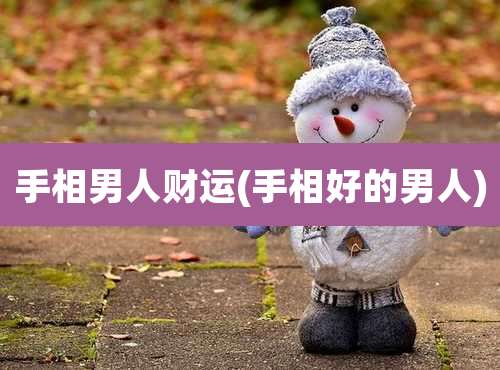 手相男人财运(手相好的男人)