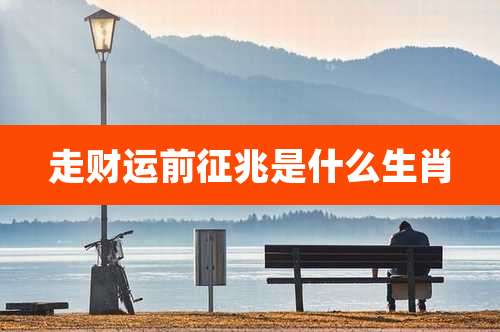 走财运前征兆是什么生肖