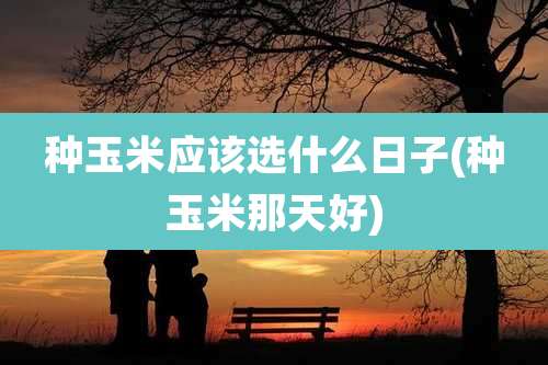 种玉米应该选什么日子(种玉米那天好)