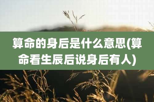 算命的身后是什么意思(算命看生辰后说身后有人)