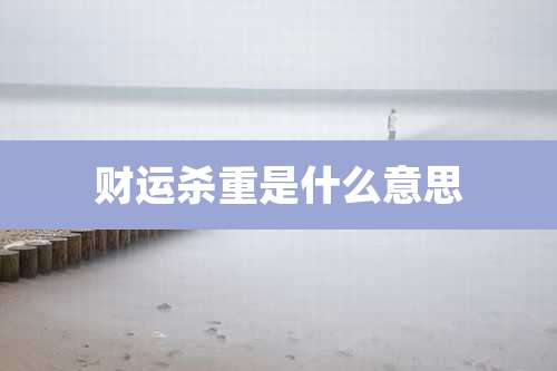 财运杀重是什么意思