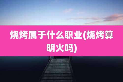 烧烤属于什么职业(烧烤算明火吗)