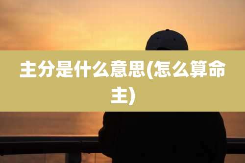 主分是什么意思(怎么算命主)