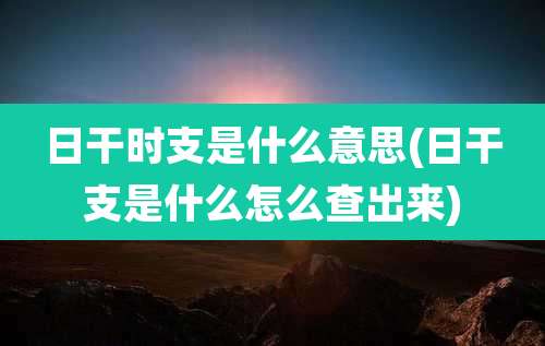 日干时支是什么意思(日干支是什么怎么查出来)