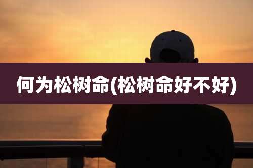 何为松树命(松树命好不好)