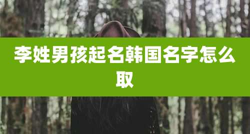 李姓男孩起名韩国名字怎么取