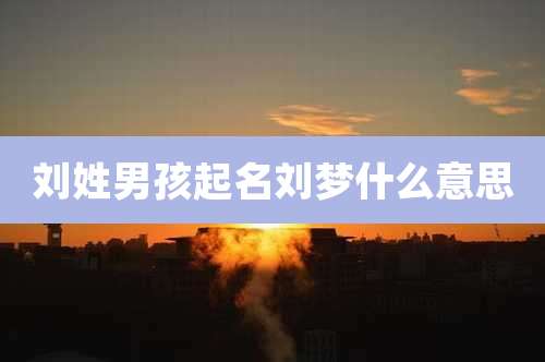 刘姓男孩起名刘梦什么意思