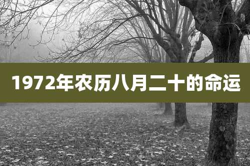 1972年农历八月二十的命运