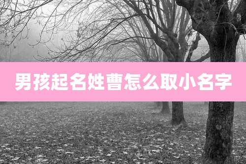 男孩起名姓曹怎么取小名字