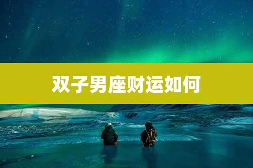 双子男座财运如何